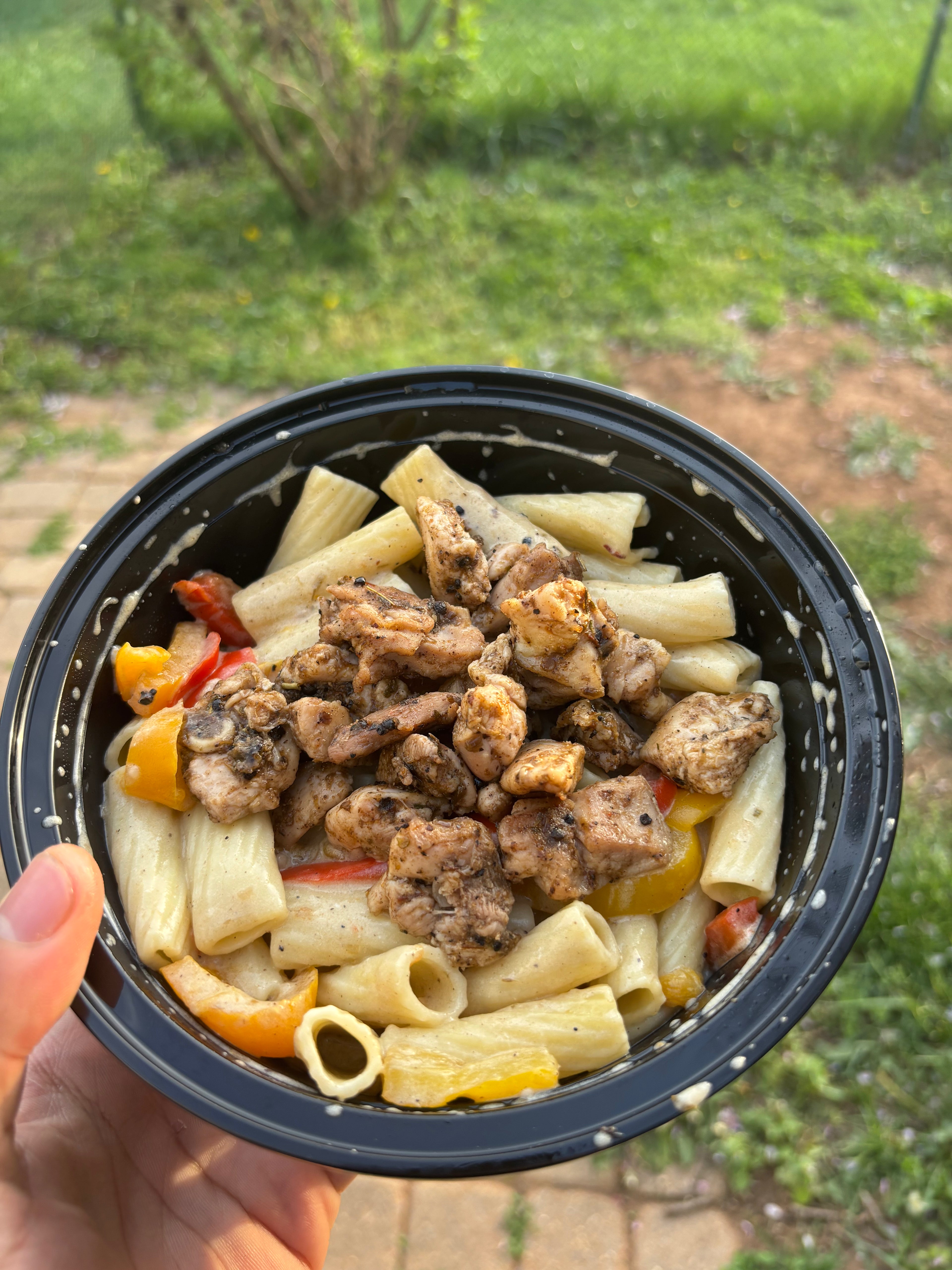 Rasta Pasta